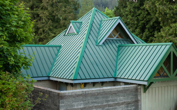 Best Skylight Installation and Repair  in Wilburton, OK