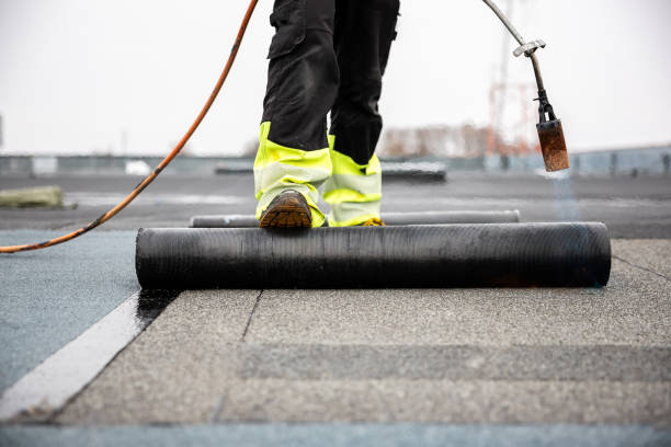 Best Roof Moss and Algae Removal  in Wilburton, OK